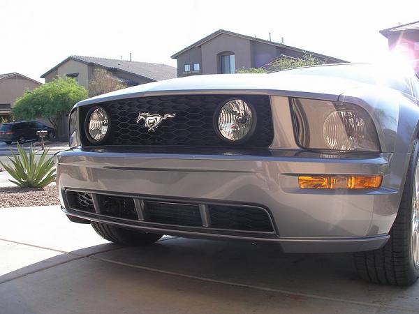 Anyone with Painted GT Lower Grill-p5210350.jpg