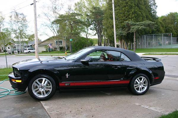 Picture of black stang with red rocker stripes-img_1519.jpg