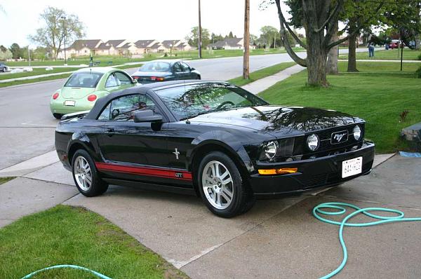 Picture of black stang with red rocker stripes-img_1521.jpg