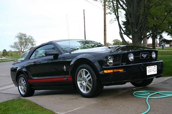 Picture of black stang with red rocker stripes-img_1522.jpg