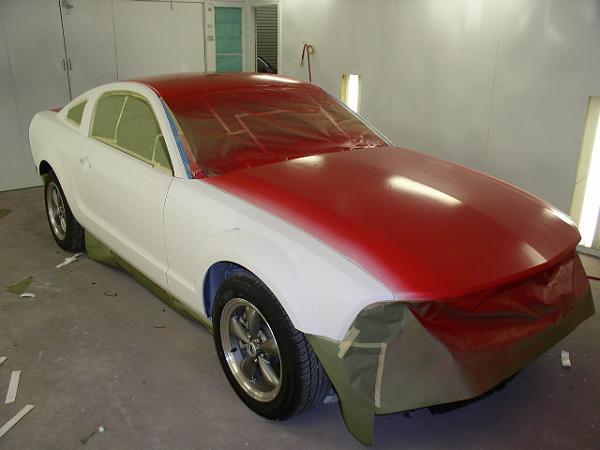 Just thought I'd post some pics of my stripes under contruction..-p1010007.jpg