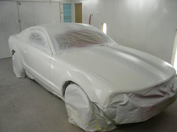 Just thought I'd post some pics of my stripes under contruction..-p1010008.jpg