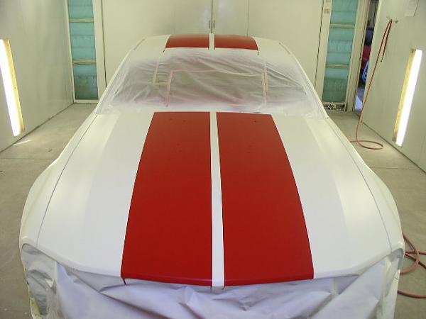 Just thought I'd post some pics of my stripes under contruction..-p1010004.jpg