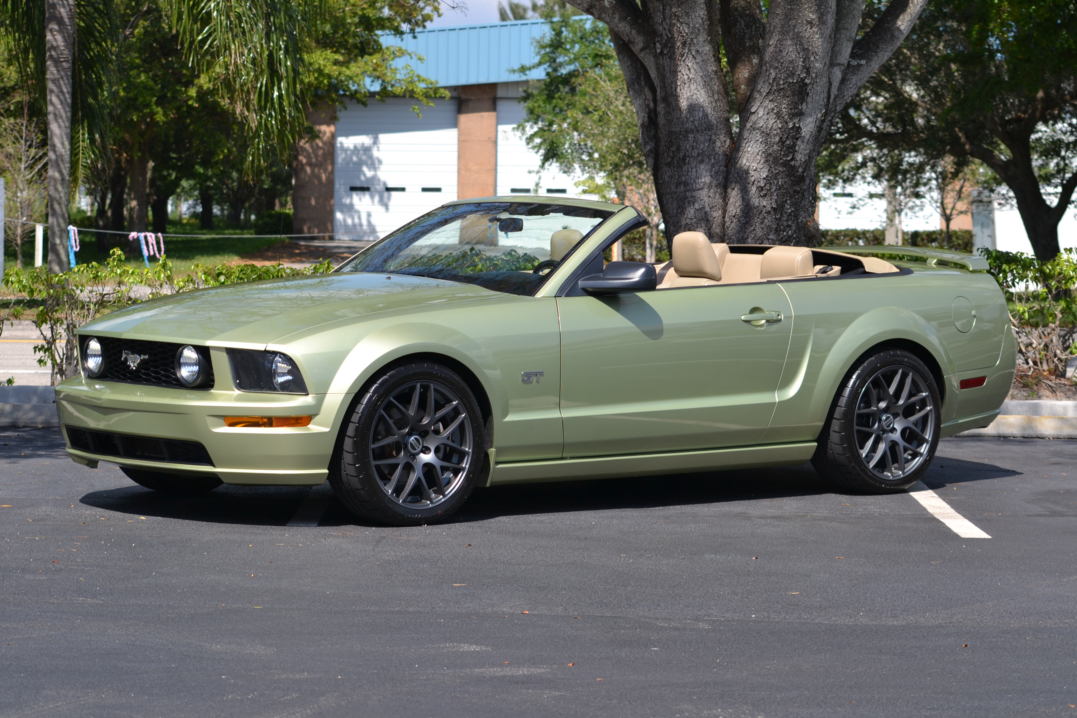 Name:  DSC_0396_zps7f66d8b6.jpg
Views: 1060
Size:  2.03 MB