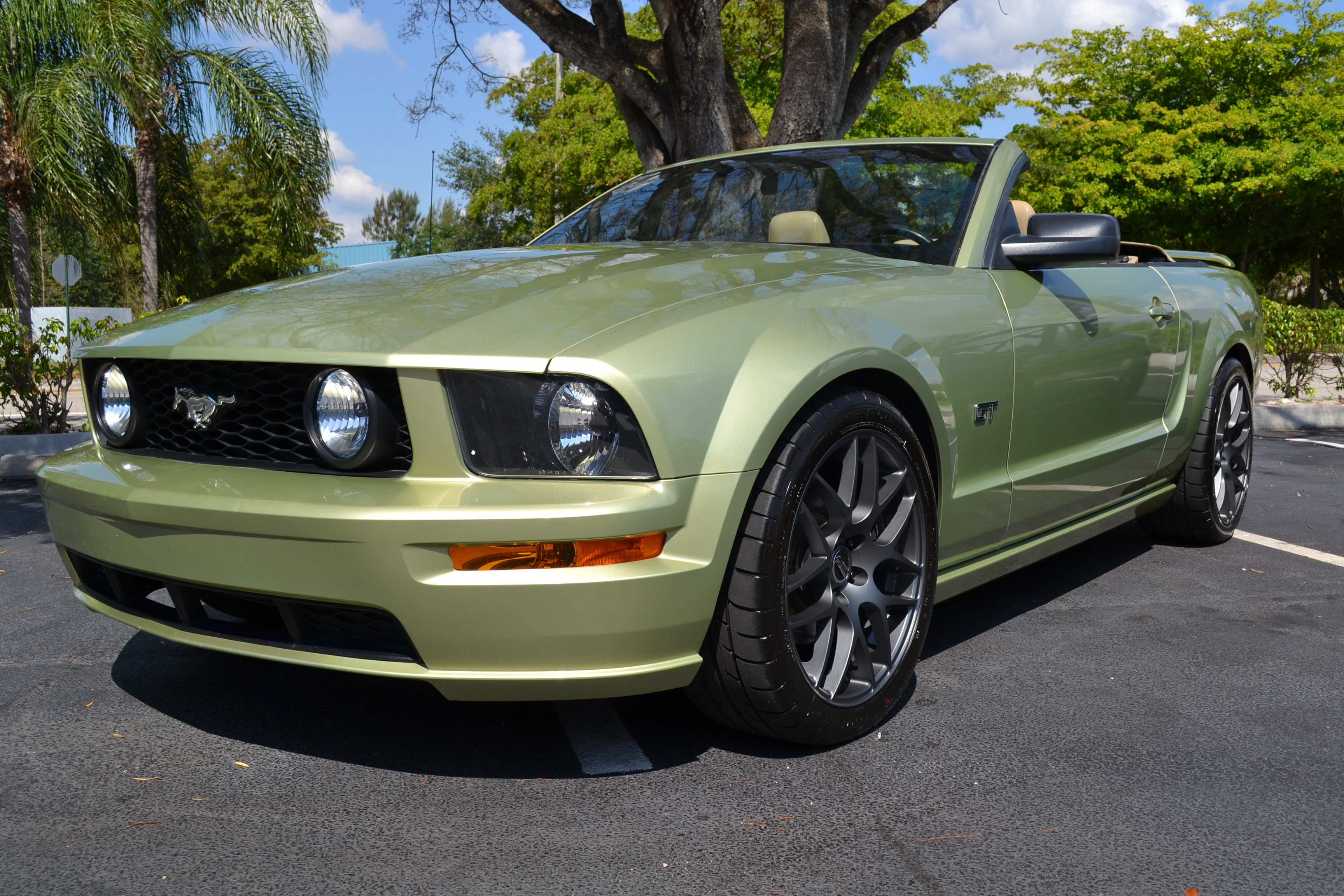 Name:  DSC_0366_zps8fa0de10.jpg
Views: 1008
Size:  2.04 MB