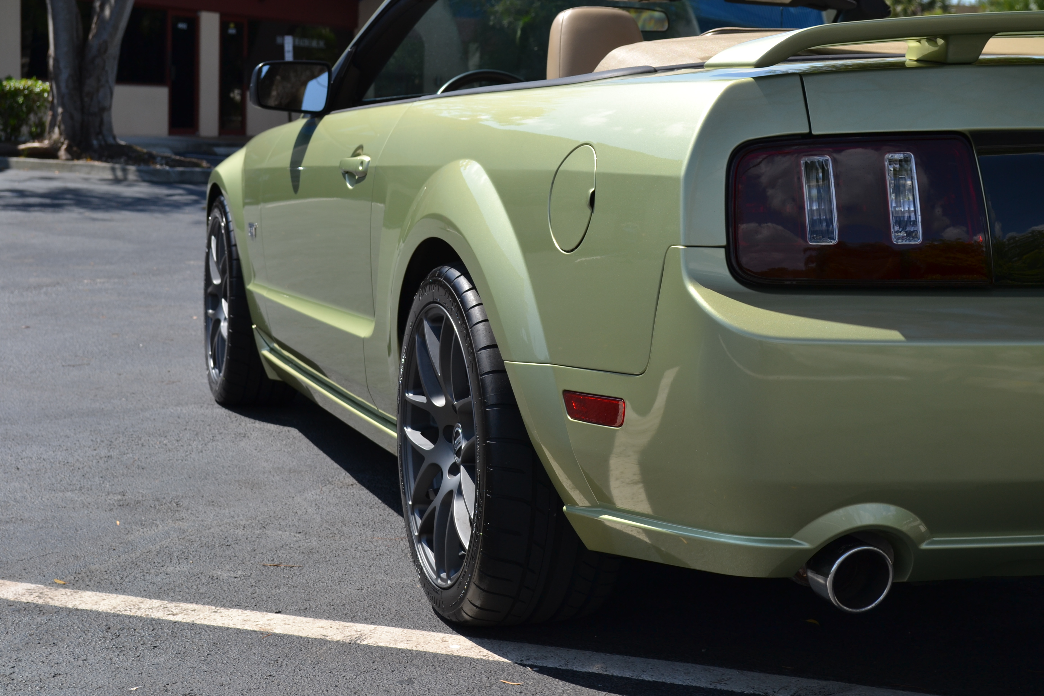 Name:  DSC_0403_zpsacfdbea6.jpg
Views: 1010
Size:  1.99 MB