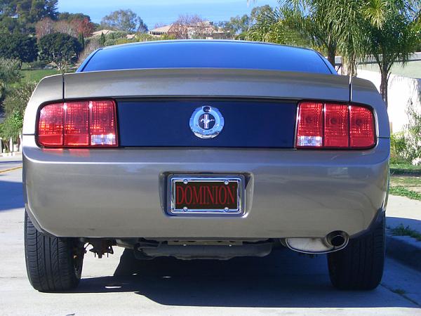 Ducktail install,  BAD.....-2005_mg_mustang_001_800x600.jpg
