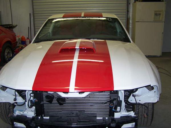 Just thought I'd post some pics of my stripes under contruction..-newpic2.jpg