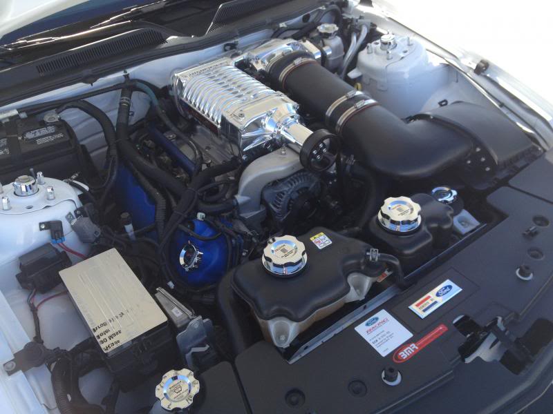 Name:  IMG_0686_zps562753c5.jpg
Views: 330
Size:  61.7 KB