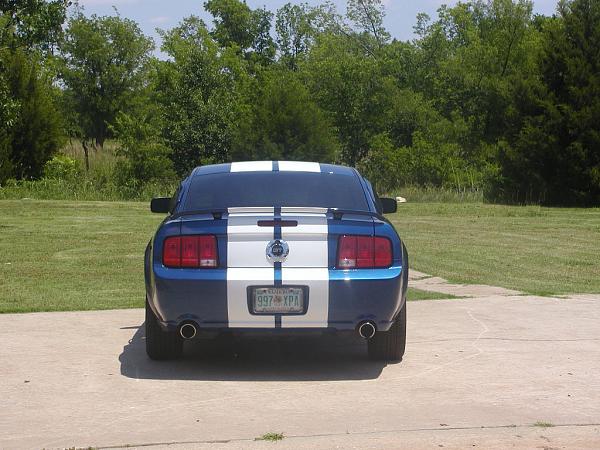 Started on my BSM 12" White Shelby Stripes-back-half-done-1.jpg