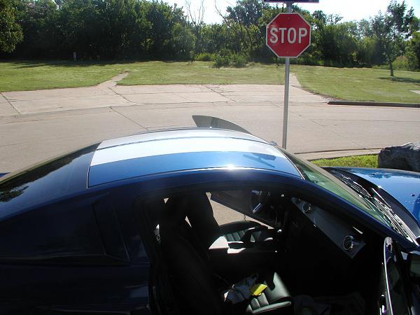 Started on my BSM 12" White Shelby Stripes-back-half-done-2.jpg