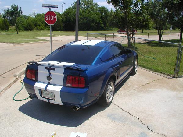 Started on my BSM 12" White Shelby Stripes-back-half-done-3.jpg