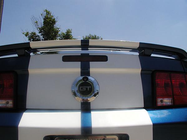 Started on my BSM 12" White Shelby Stripes-back-half-done-4.jpg