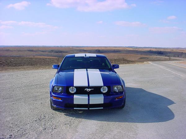 Official Stripes Thread: Photos &amp; Spreadsheet-front1.jpg