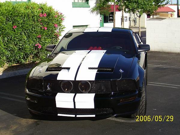 Official Stripes Thread: Photos &amp; Spreadsheet-22.jpg