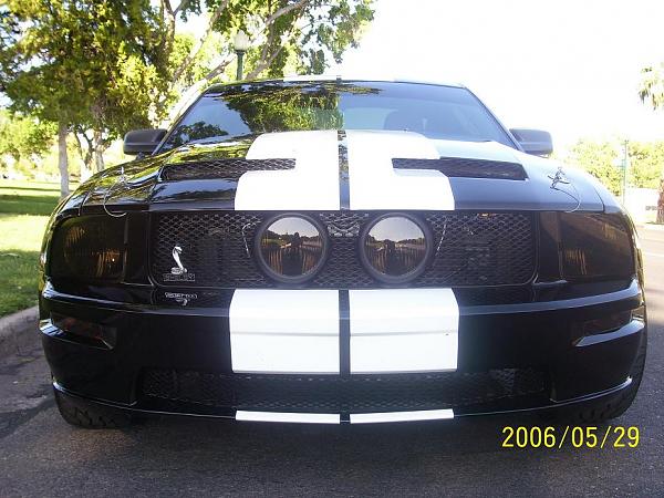 Official Stripes Thread: Photos &amp; Spreadsheet-20.jpg