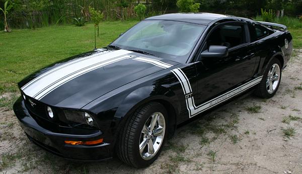 Official Stripes Thread: Photos &amp; Spreadsheet-img_2670web.jpg