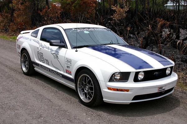 Official Stripes Thread: Photos &amp; Spreadsheet-img_2597web.jpg