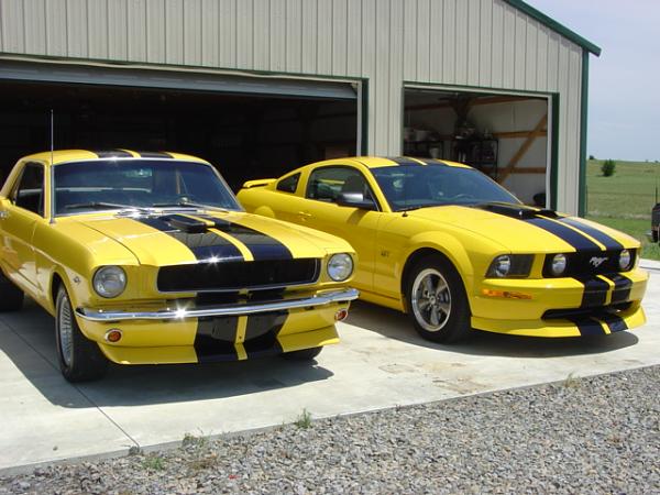 Started on my BSM 12" White Shelby Stripes-dsc02724.jpg