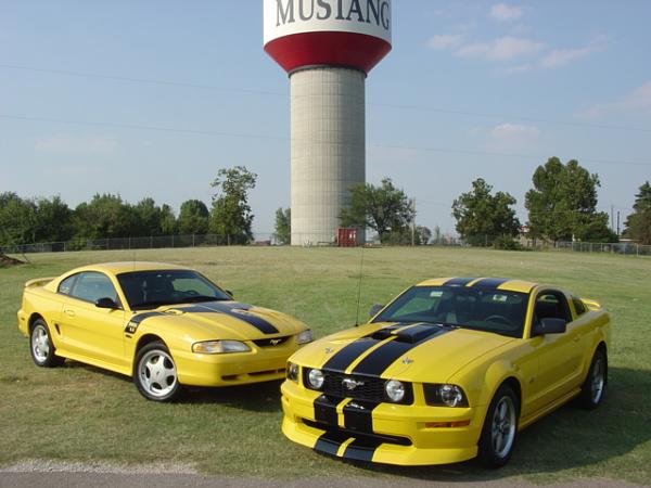 Official Stripes Thread: Photos &amp; Spreadsheet-dsc02961.jpg