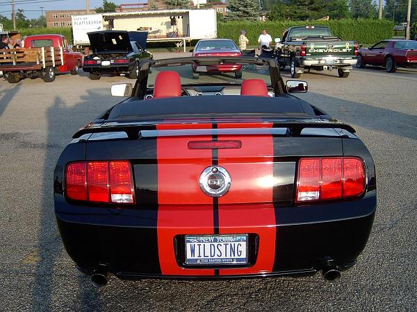 Official Stripes Thread: Photos &amp; Spreadsheet-07-01-05-004.jpg