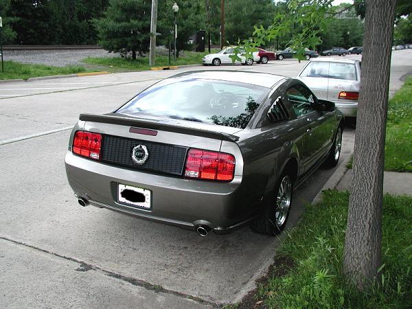 Installed my 3d Carbon GT500 Spoiler-610rpnl.jpg