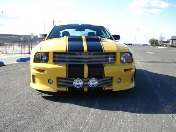 Official Stripes Thread: Photos &amp; Spreadsheet-front.jpg