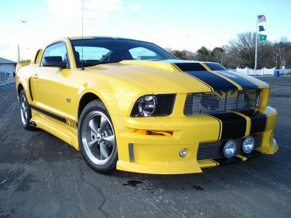 Official Stripes Thread: Photos &amp; Spreadsheet-newangle1.jpg