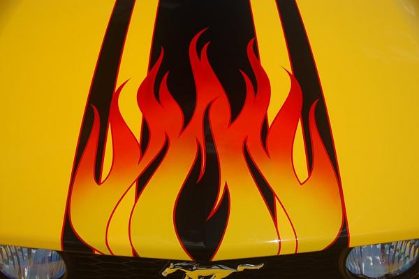 Official Stripes Thread: Photos &amp; Spreadsheet-flamehood9-shrunk.jpg