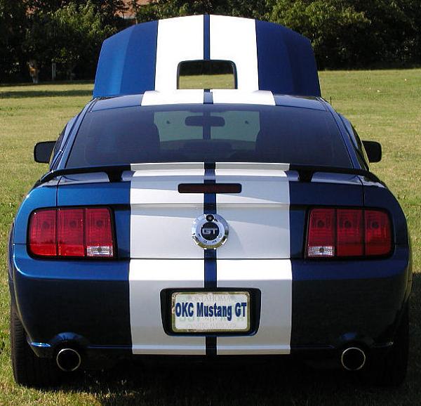 Started on my BSM 12" White Shelby Stripes-shaker-done-rear-1-web.jpg
