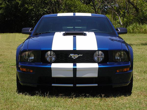 Started on my BSM 12" White Shelby Stripes-stripes-all-done-front-1.jpg