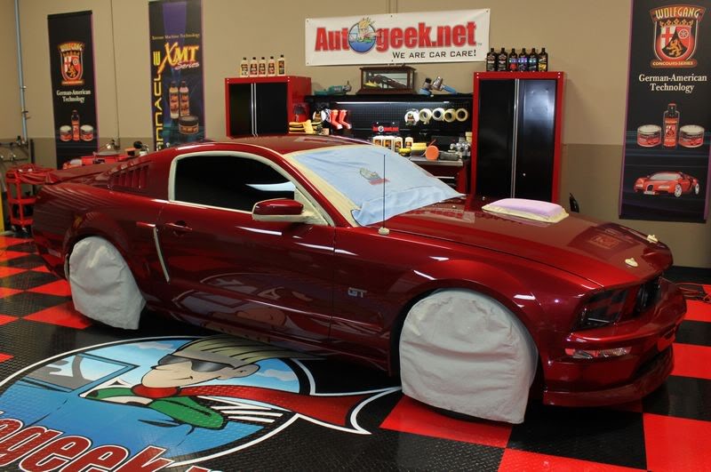 Name:  Brandons2006Mustang005.jpg
Views: 63
Size:  83.3 KB