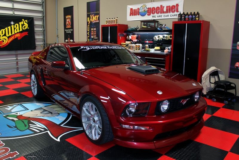 Name:  Brandons2006Mustang017.jpg
Views: 73
Size:  88.9 KB