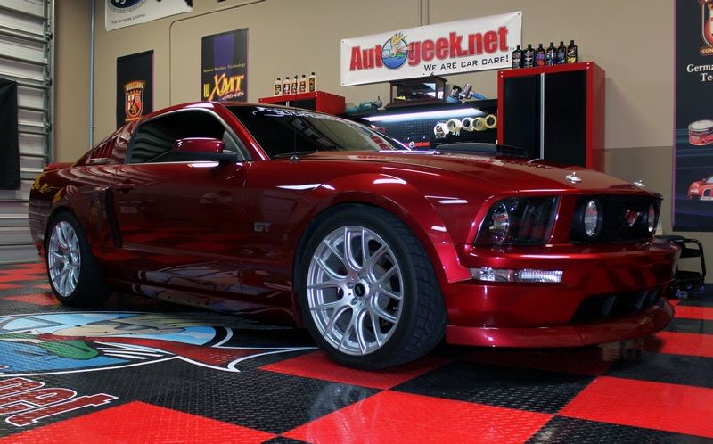 Name:  Brandons2006Mustang006.jpg
Views: 62
Size:  78.9 KB