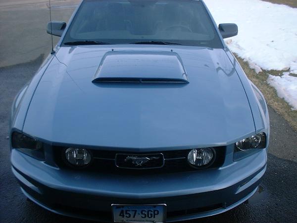 Hood Scoops....Let's See Em!! (Post Pics)-05-mustang-046.jpg