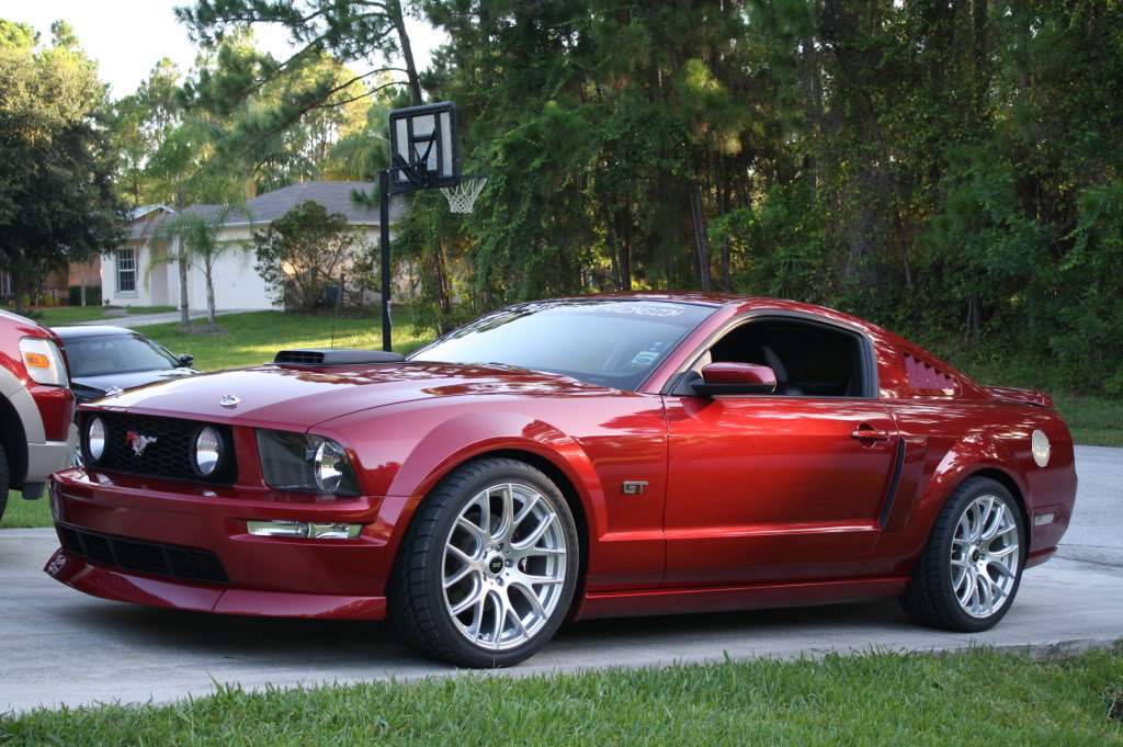 Name:  Newwheels001.jpg
Views: 86
Size:  191.2 KB