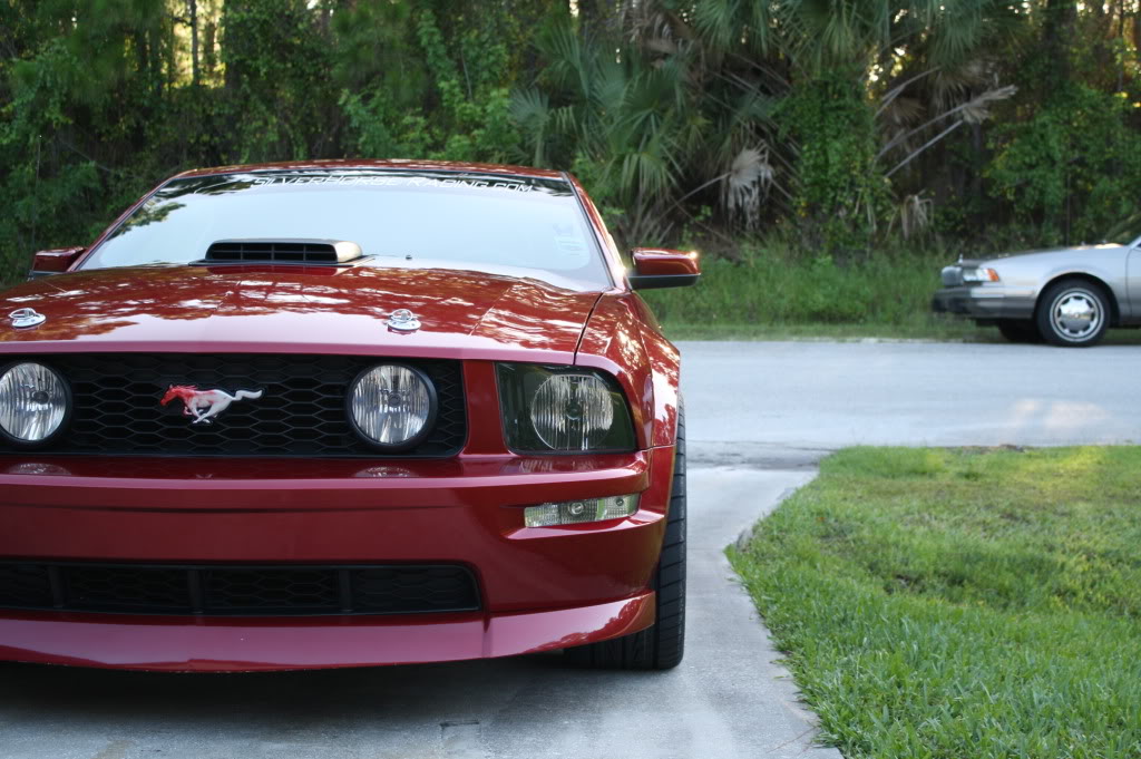 Name:  Newwheels004.jpg
Views: 57
Size:  131.2 KB