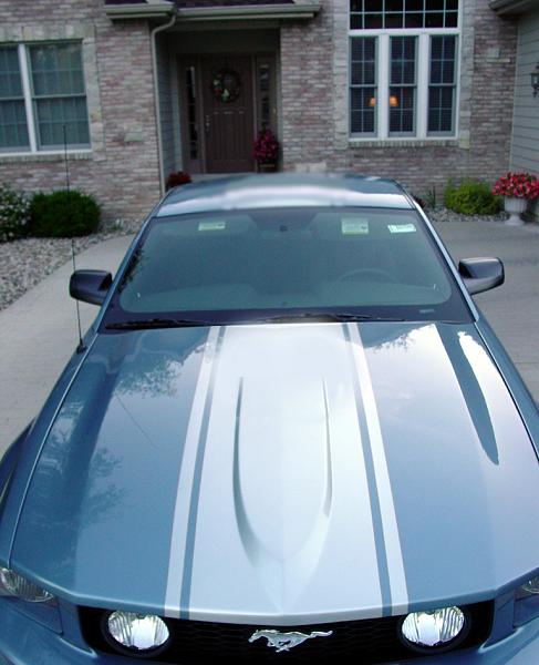 Cervini's B2 Prices and details-fang_windviel_blue_020.jpg