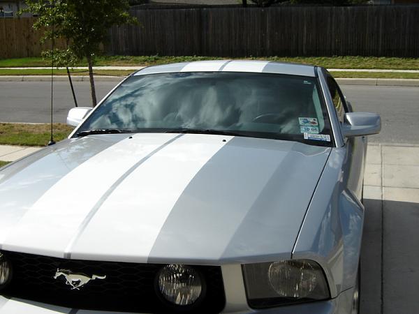Question For Those Who Painted Their Mirrors-mirrors1.jpg