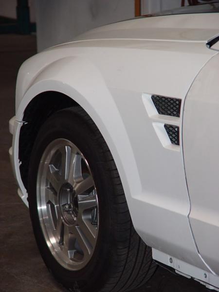 Opinions needed!!!!-18013008fenders.jpg