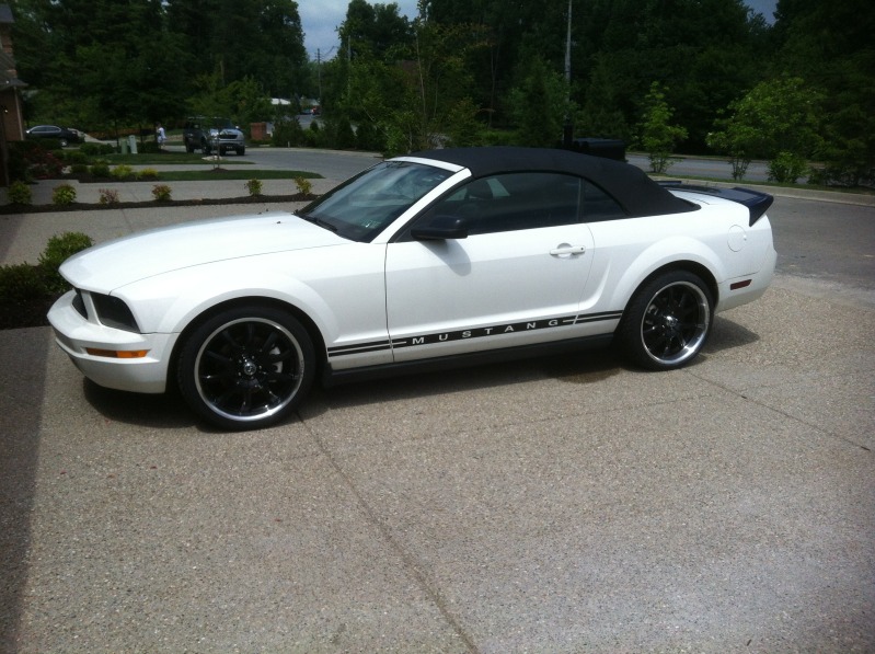 Name:  IMG_0205.jpg
Views: 580
Size:  159.9 KB