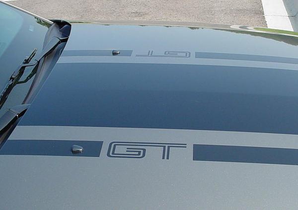Mach 1 stlye striping-emblem.jpg