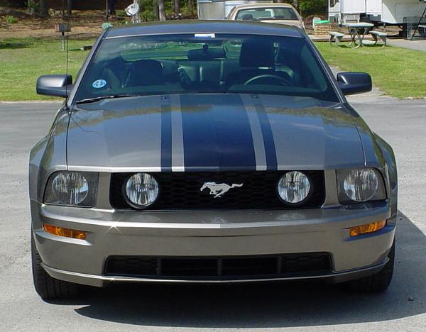 Mach 1 stlye striping-front.jpg