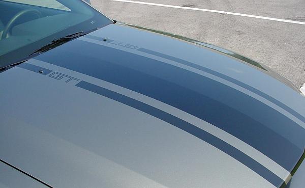 Mach 1 stlye striping-stripe1.jpg
