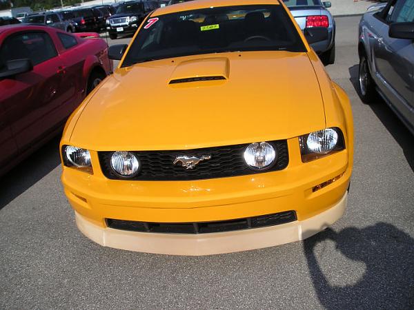 '07 Mustang GT w/GT Apperange Pkg &amp; CDC Classic Chin Spoiler-p1010117_resize.jpg