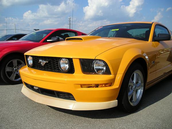 '07 Mustang GT w/GT Apperange Pkg &amp; CDC Classic Chin Spoiler-p1010118_resize.jpg