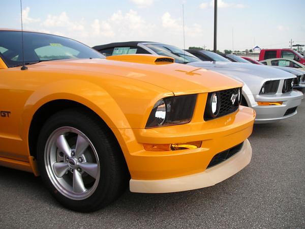 '07 Mustang GT w/GT Apperange Pkg &amp; CDC Classic Chin Spoiler-p1010120_resize.jpg