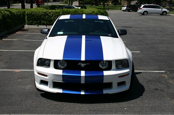Official Stripes Thread: Photos &amp; Spreadsheet-mustang_photo_2.jpg