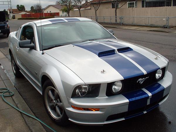 Official Stripes Thread: Photos &amp; Spreadsheet-mustang-hoodpins.jpeg