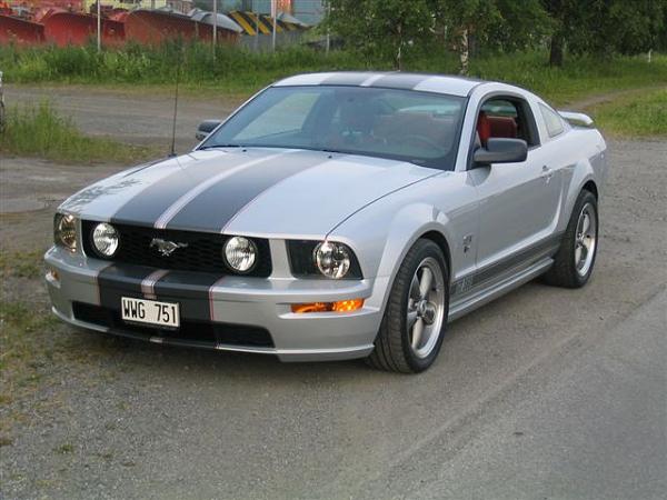 Official Stripes Thread: Photos &amp; Spreadsheet-mustang_050709_016.jpg